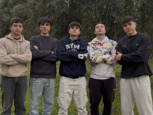 Grupo Dark Phoenix: quiénes somos y cómo trabajamos